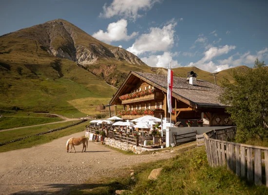 Malga tradizionale con balconi fioriti, terrazza con ombrellone e cavallo Haflinger davanti a pendio montano