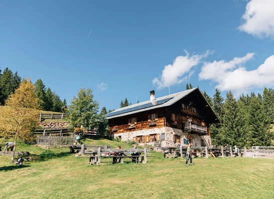 Malga tradizionale in legno e pietra con panchine e prato verde in estate