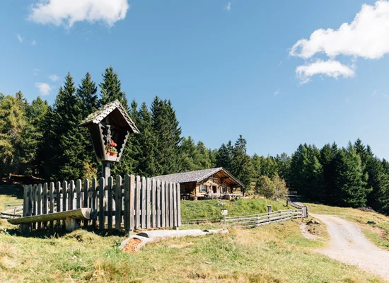 Baita estiva con croce e recinto su strada sterrata, circondata da prati verdi e bosco di conifere.
