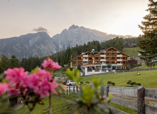 Hotel in legno con balconi davanti a panorama montano, circondato da prato, conifere e fiori rosa in primo piano
