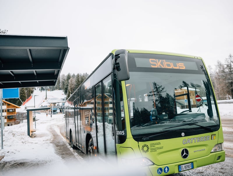 SKIBUS HAFLING-VÖRAN