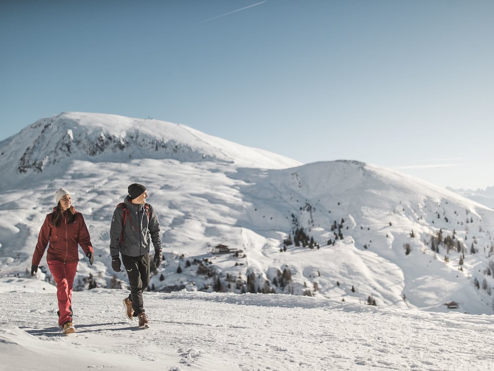 GUIDED <br> WINTER HIKES