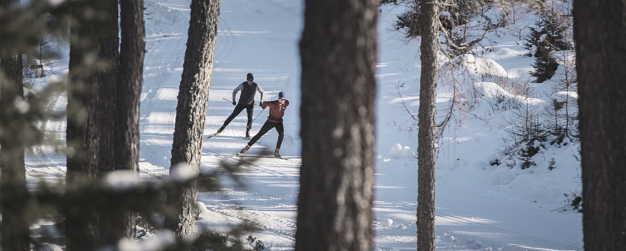 Cross-country skiing on Merano 2000 in South Tyrol