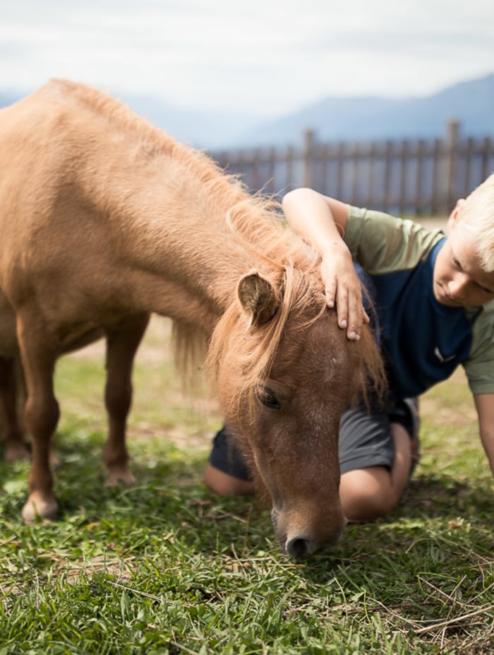 Pony streicheln, Ziege füttern