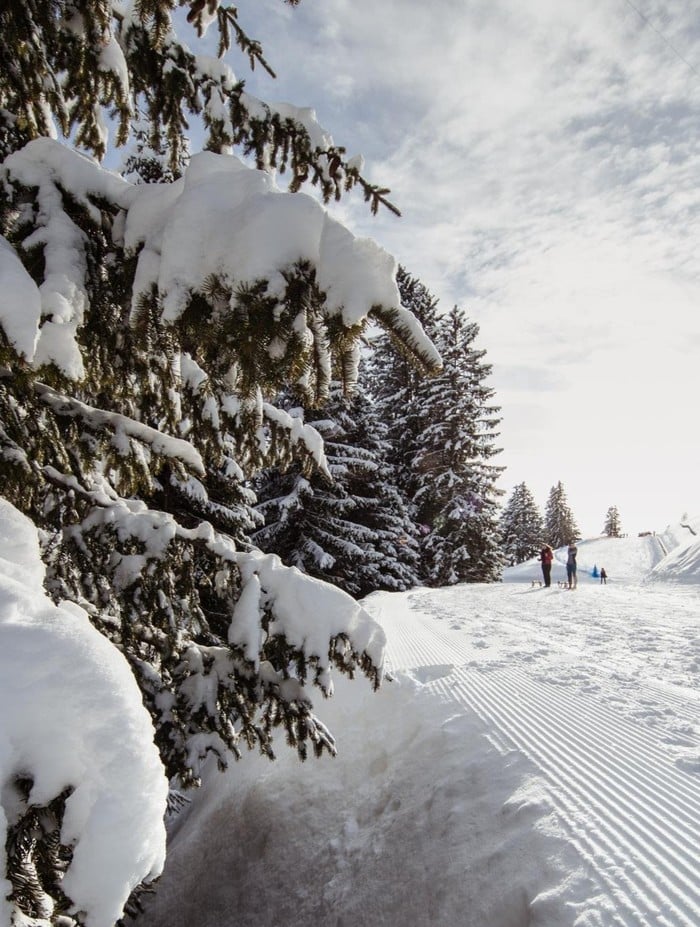 Bollettino neve