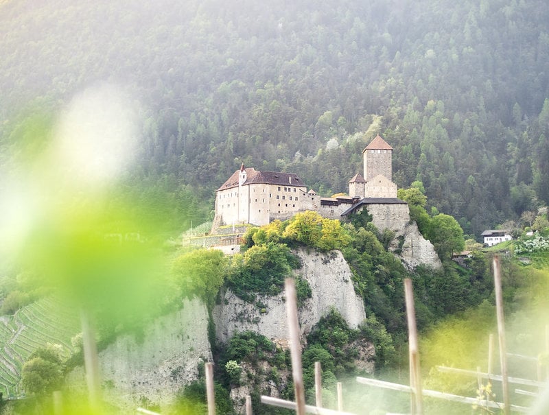 IN TIROLO, HIGH <BR> ABOVE THE ROOFTOPS